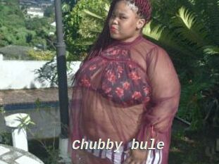 Chubby_bule