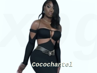Cocochantel