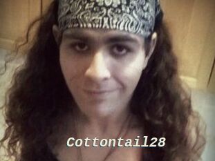 Cottontail28