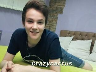 Crazycactus