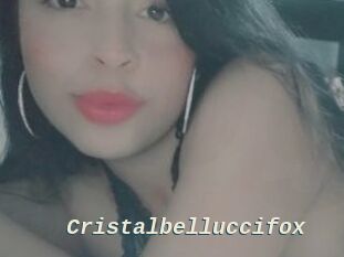 Cristalbelluccifox