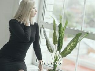 Crocus