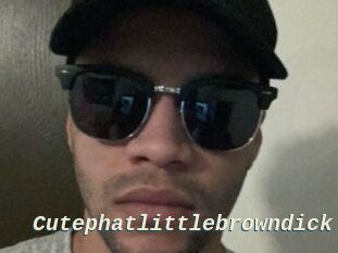 Cutephatlittlebrowndick