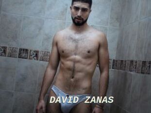 DAVID_ZANAS