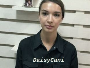 DaisyCani