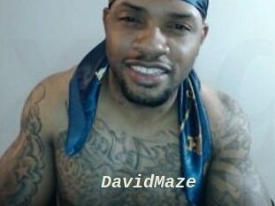 David_Maze