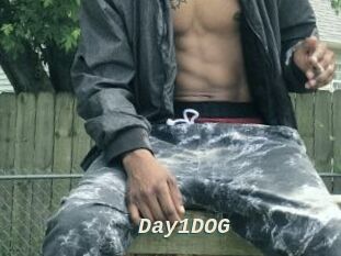 Day1DOG