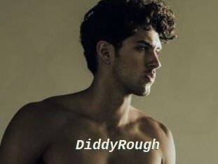 DiddyRough