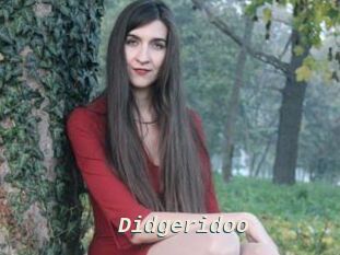 Didgeridoo
