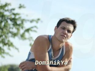 DominikYa