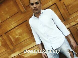 Dominikbunny