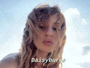 Daisyburge