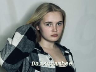 Daisygambee