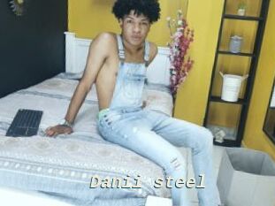 Danii_steel