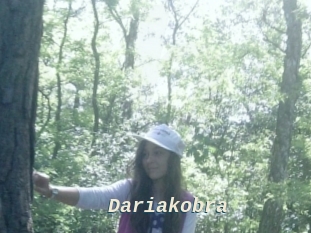 Dariakobra
