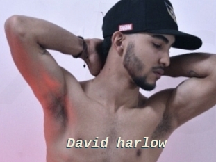 David_harlow