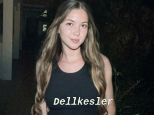 Dellkesler