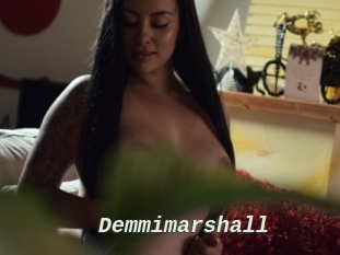 Demmimarshall