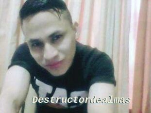 Destructordealmas