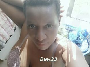 Dew23