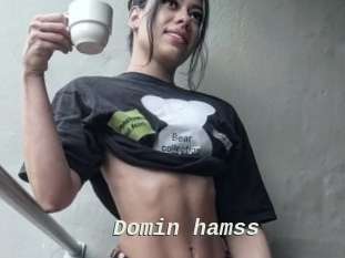 Domin_hamss