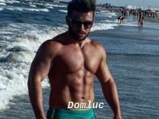 Domluc