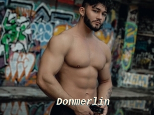Donmerlin