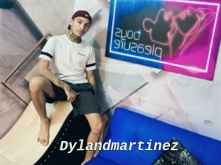 Dylandmartinez