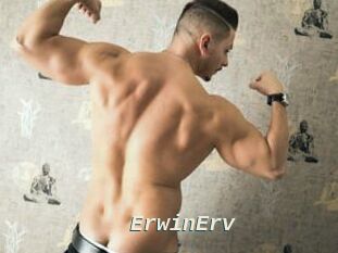 ErwinErv