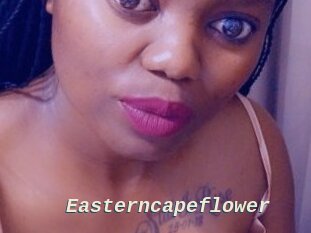 Easterncapeflower