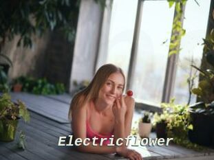 Electricflower
