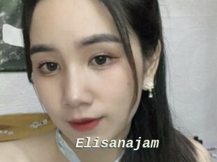 Elisanajam