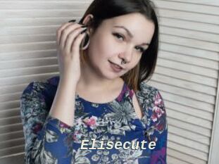 Elisecute