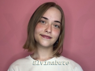Elvinabute