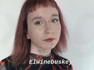 Elwinebuskey