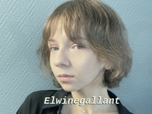 Elwinegallant