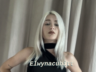 Elwynacubitt