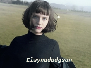 Elwynadodgson