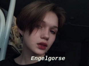 Engelgorse