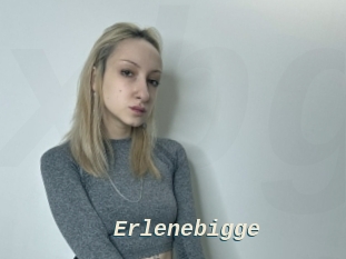 Erlenebigge