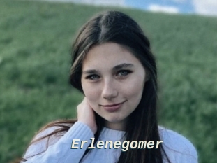 Erlenegomer