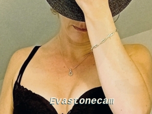 Evastonecam