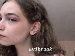 Evibrook