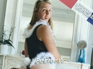 Feline18