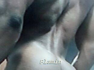 Flamin