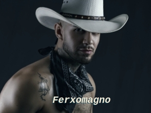 Ferxomagno