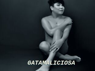 GATAMALICIOSA