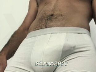 Gizmo2000
