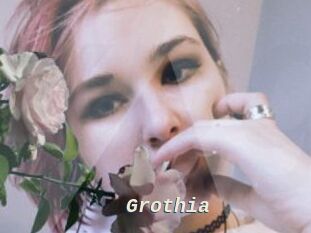 Grothia