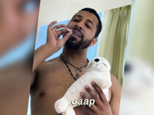 Gaap